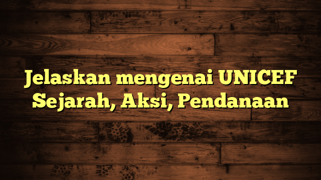 Jelaskan mengenai UNICEF Sejarah, Aksi, Pendanaan