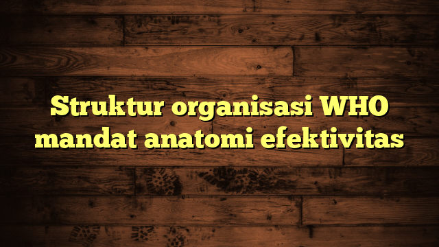 Struktur organisasi WHO mandat anatomi efektivitas